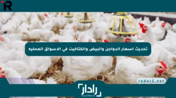 تحديث أسعار الدواجن والبيض والكتاكيت في الأسواق المحلية